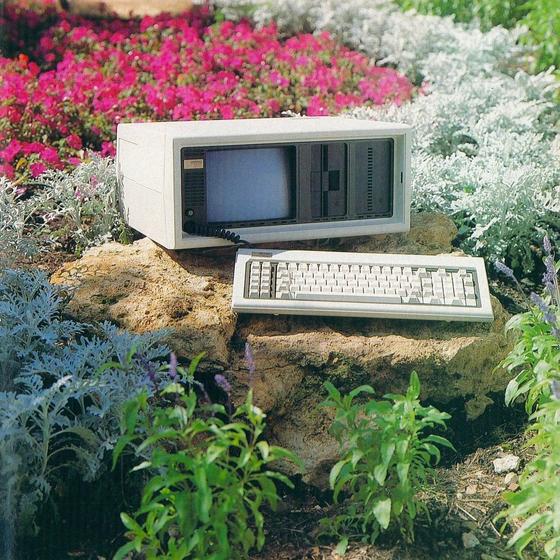 floral compaq image
